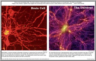 Source: http://sprott.physics.wisc.edu/pickover/pc/neuron-galaxy.jpg